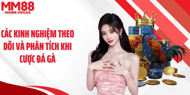 Các kinh nghiệm theo dõi và phân tích khi cược đá gà
