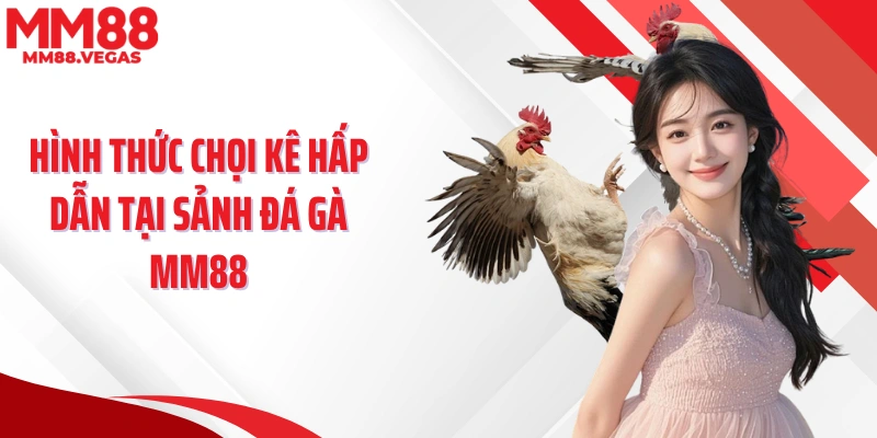 Hình thức chọi kê hấp dẫn tại sảnh đá gà MM88