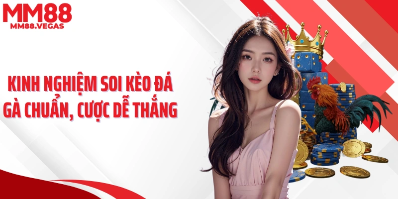Kinh nghiệm soi kèo đá gà chuẩn, cược dễ thắng