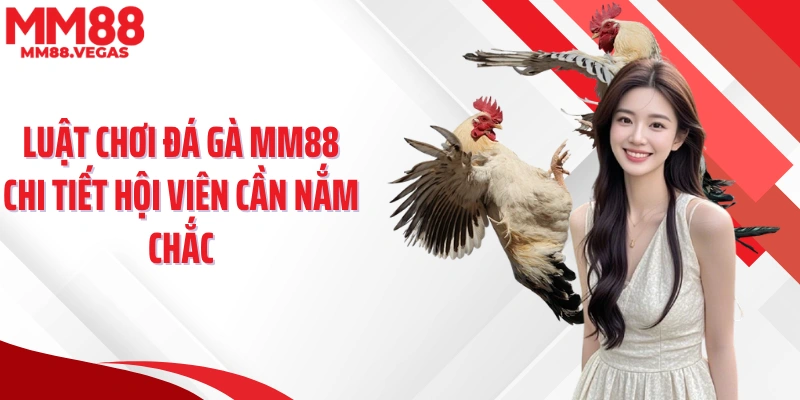 Luật chơi đá gà MM88 chi tiết hội viên cần nắm chắc