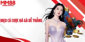 Mẹo Cá Cược Đá Gà Dễ Thắng - Bí Quyết Thực Chiến Hiệu Quả