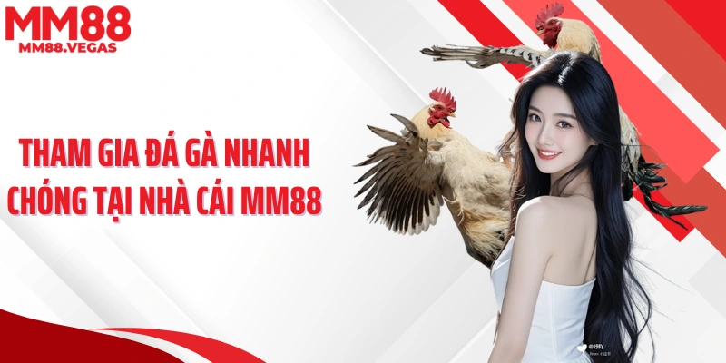 Tham gia đá gà nhanh chóng tại nhà cái MM88